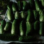 Jak přírodně hnojit okurky: Tipy a triky pro zdravou úrodu